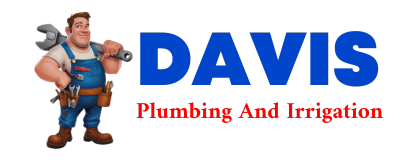 Trusted plumber in VERBENA